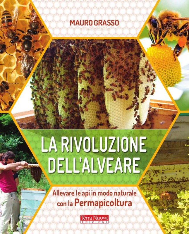 La rivoluzione dell'alveare di Mauro Grasso