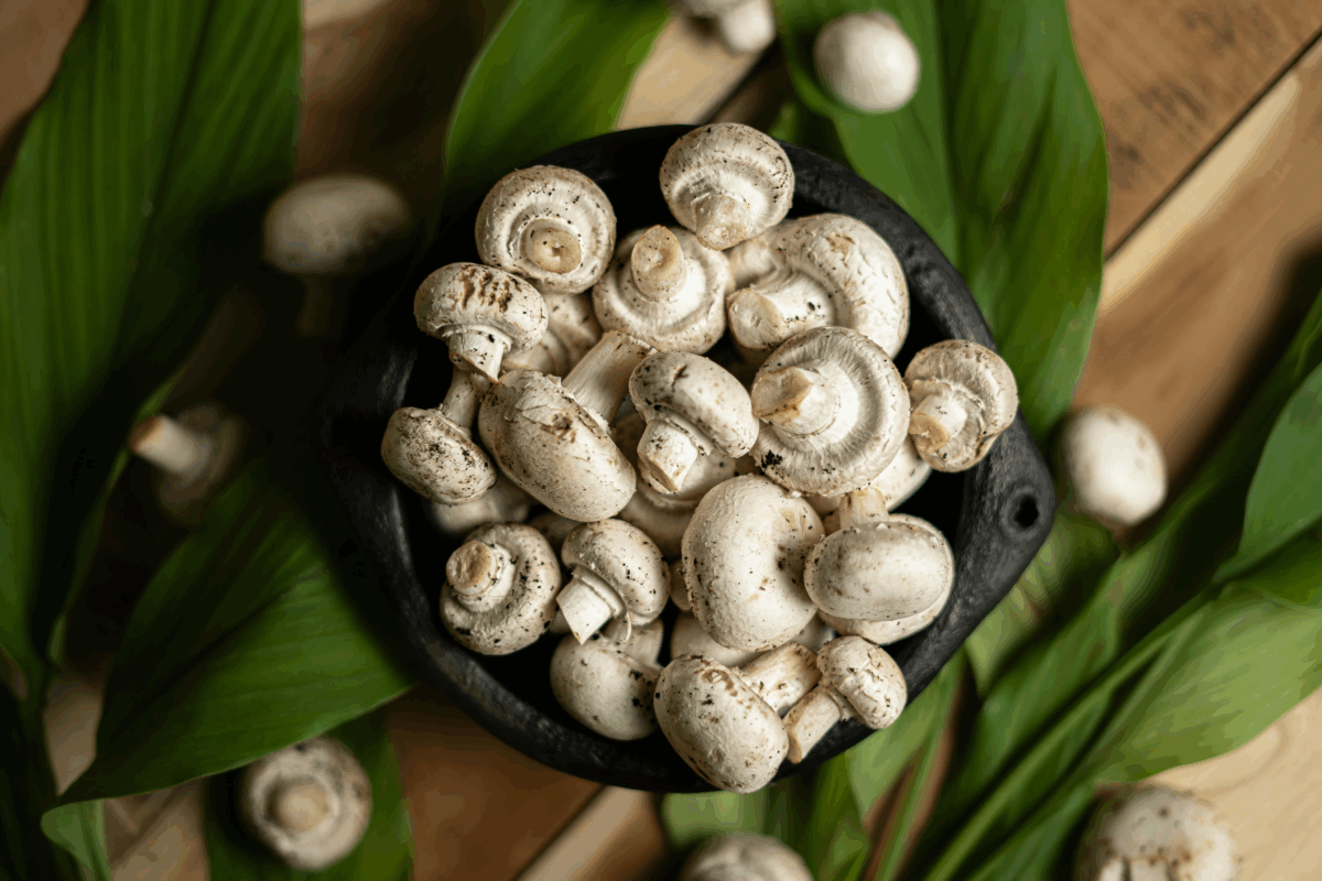 La ricetta dello sformato di funghi