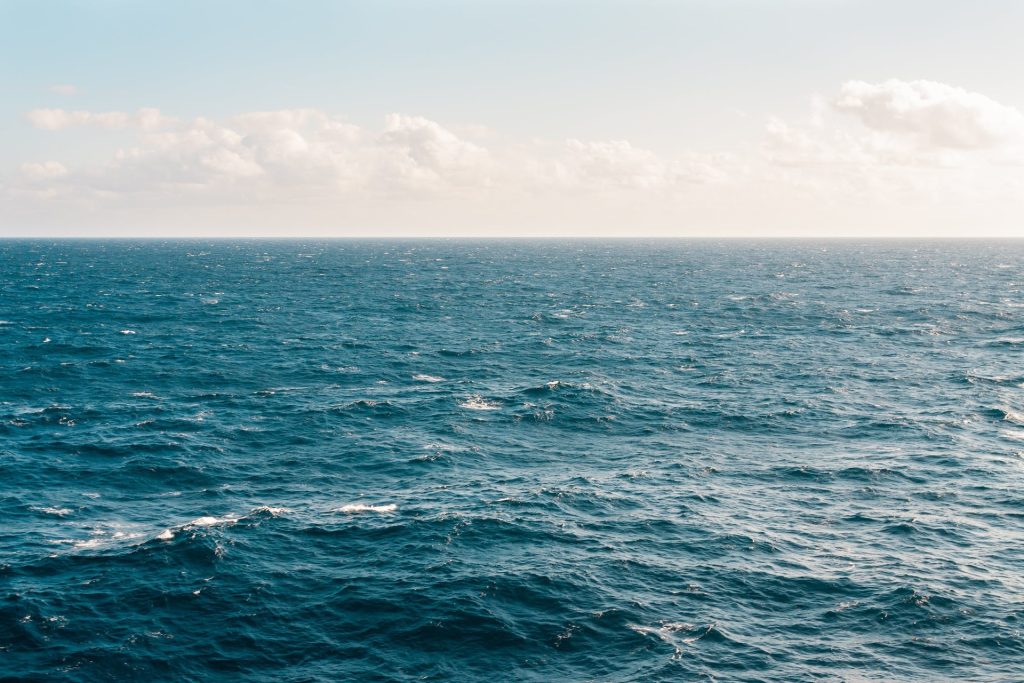 200 nuovi pesci: il Mediterraneo &egrave; il mare pi&ugrave; invaso al mondo