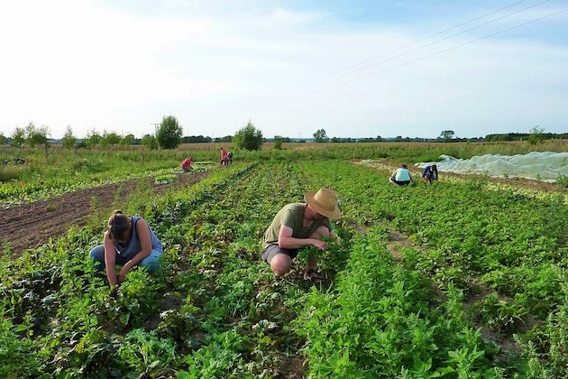 Appello di 500 organizzazioni: &laquo;Stop alla deforestazione e sostegno all’agroecologia su piccola scala&raquo;