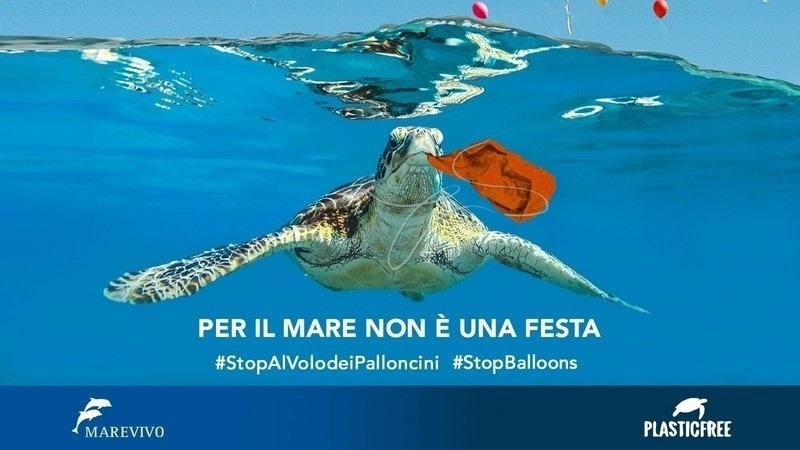 &laquo;Basta palloncini in volo&raquo;: petizione per chiedere divieto rilascio