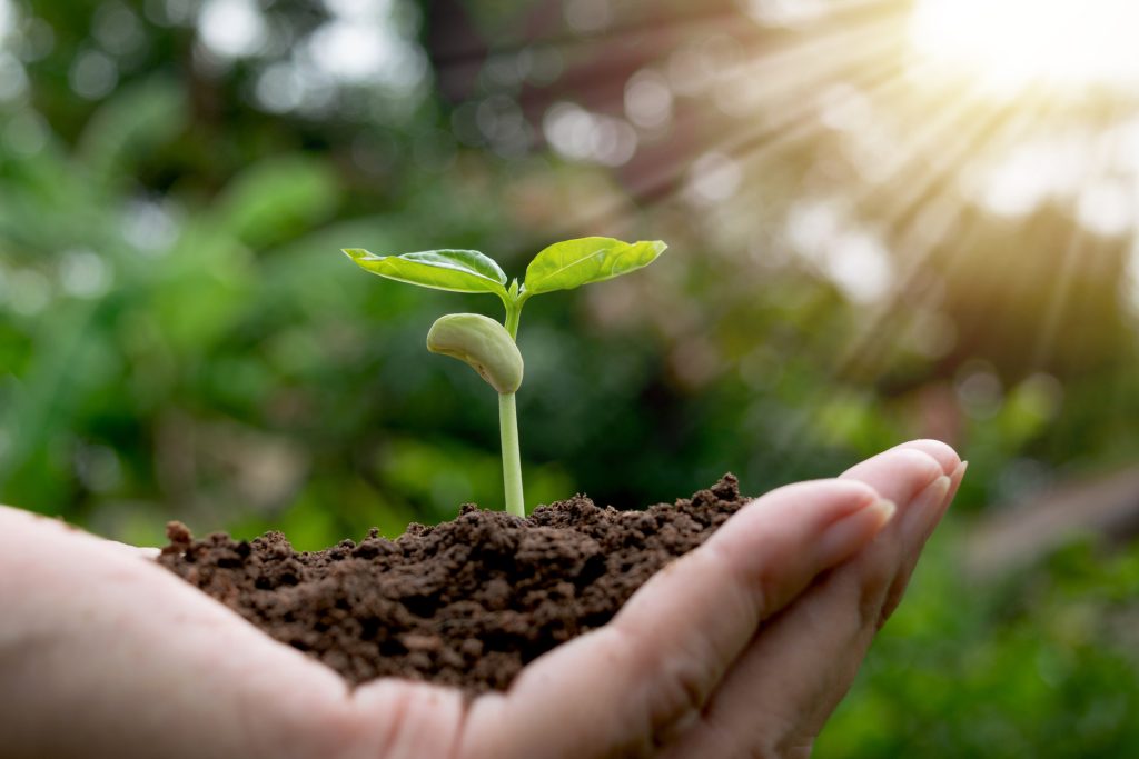Biodinamica: la scienza (quella vera) conferma l&rsquo;efficacia