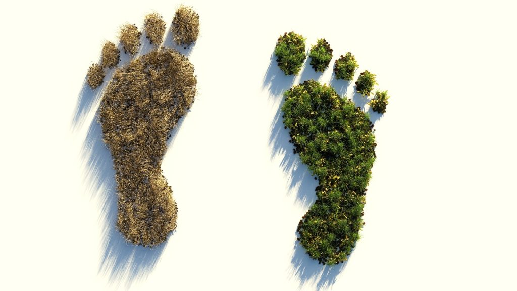 &laquo;Biologico, biodiversit&agrave;, bonifiche, sanit&agrave; senza speculazioni: scelte per ripartire&raquo;