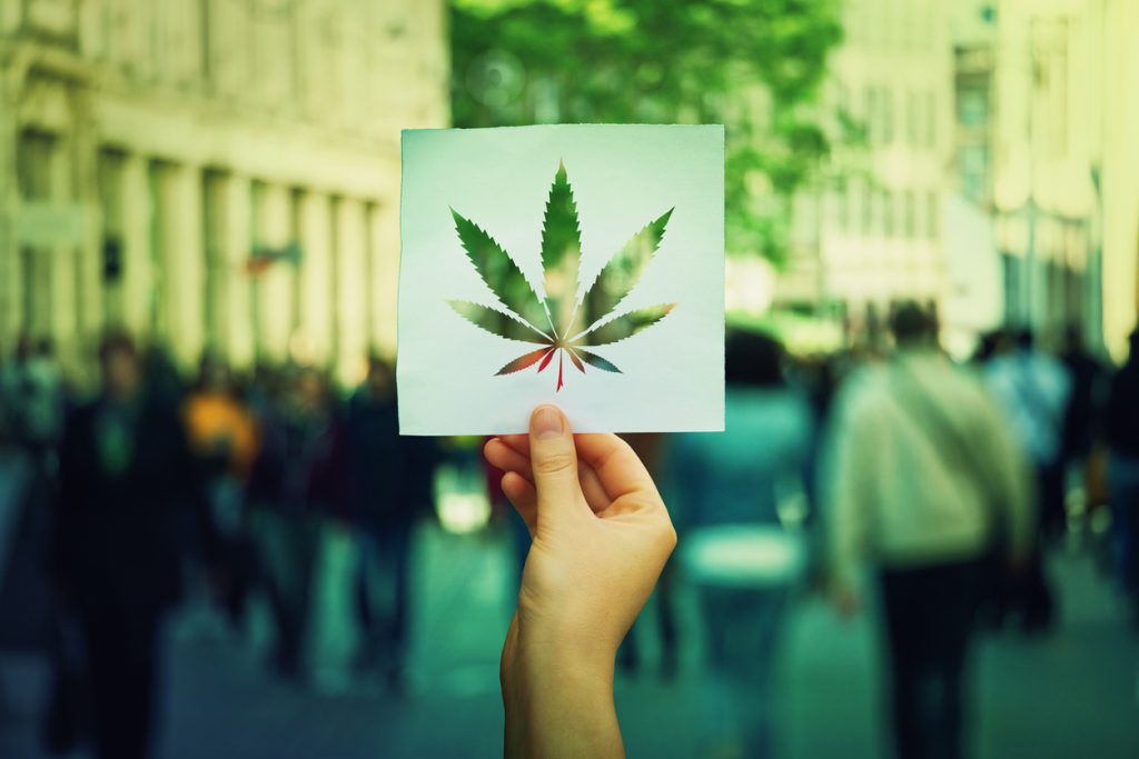 Cannabis terapeutica: l&rsquo;Onu spinge. E noi?