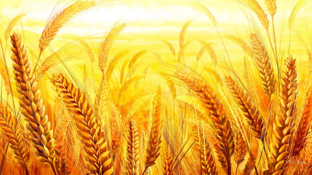 Clima estremo, l’agricoltura biologica &egrave; la pi&ugrave; resiliente
