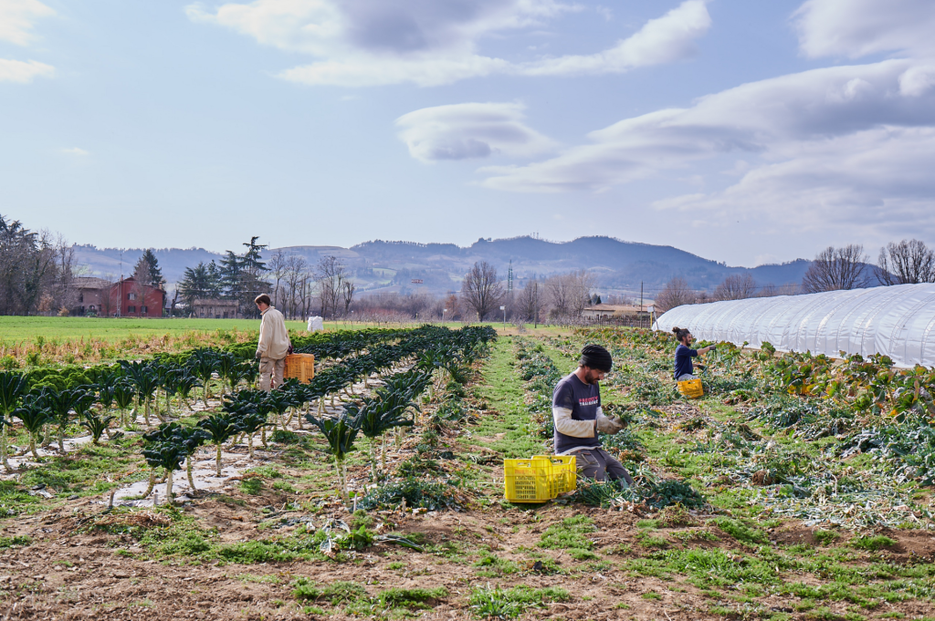 Comunit&agrave; a Supporto dell&rsquo;Agricoltura, una nuova prospettiva di produzione e consumo