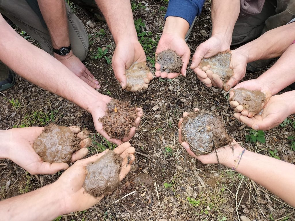 Cooperazione, formazione e produzione agricola: Deafal punto di riferimento per l&rsquo;Agricoltura Organica Rigenerativa