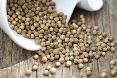 Coriandolo: l’ombrellifera dalle propriet&agrave; digestive e depurative