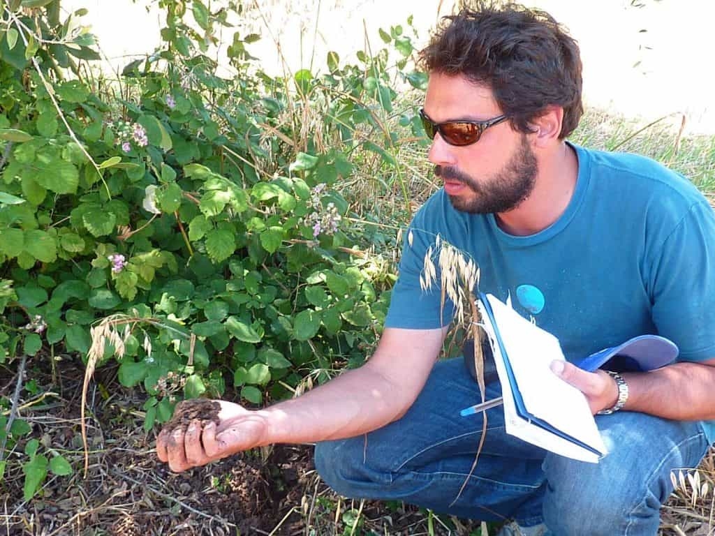 Cos’&egrave; l’Agricoltura Organica e Rigenerativa