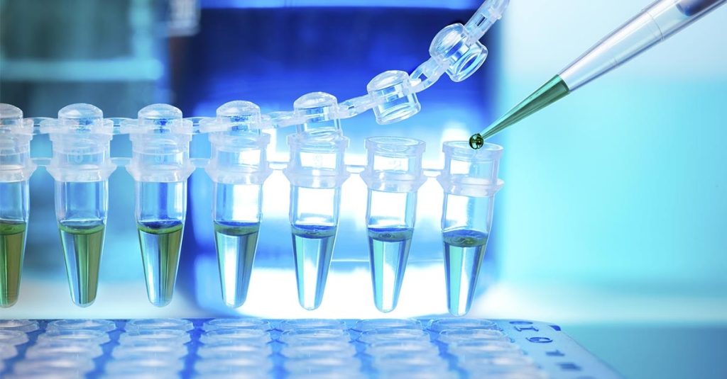 Covid: l’OMS d&agrave; l’ok alla sperimentazione di fitoterapici della medicina tradizionale africana