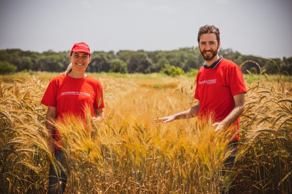 Dalla Fondazione Seminare il Futuro la variet&agrave; di grano duro biologico “Inizio”