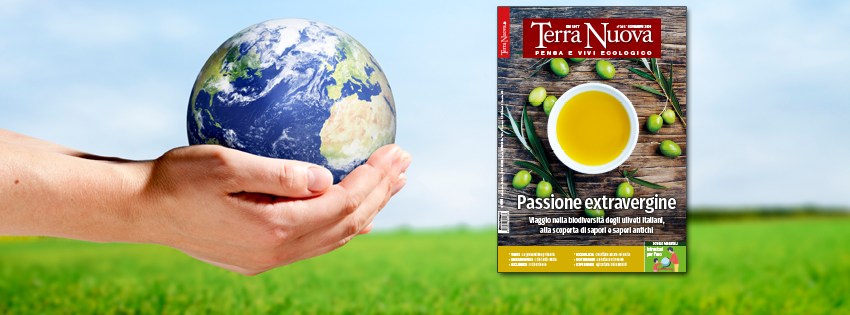 &Egrave; uscito il numero di Novembre di Terra Nuova!