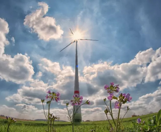 Energia verde in Italia: la sostenibilit&agrave; in bolletta