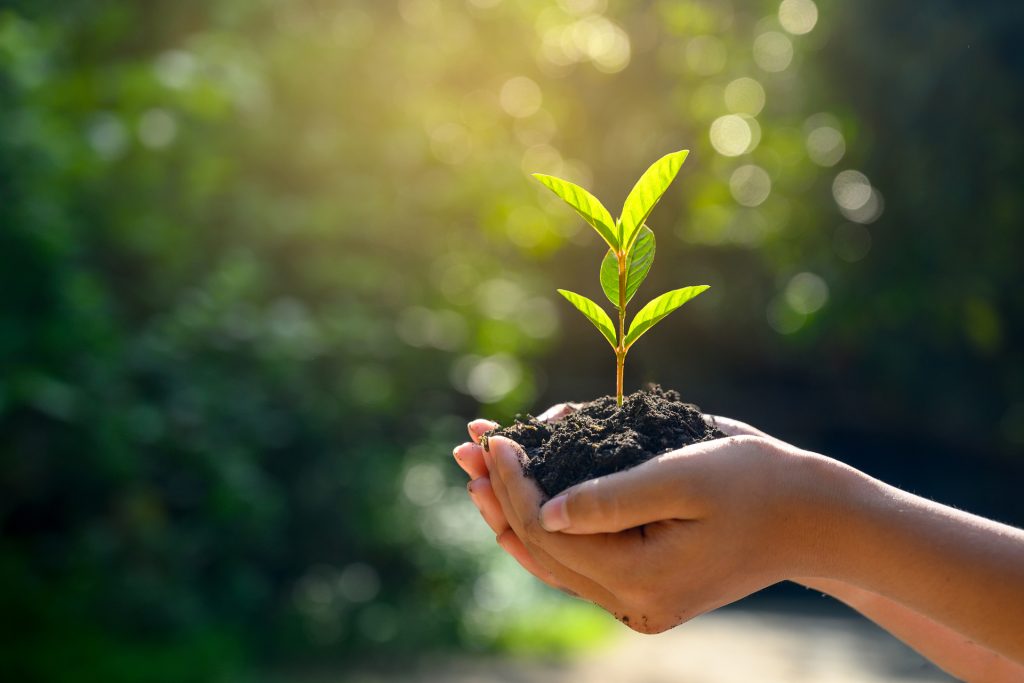 FederBio: gli emendamenti per l&rsquo;agroecologia non passati nella Legge di bilancio