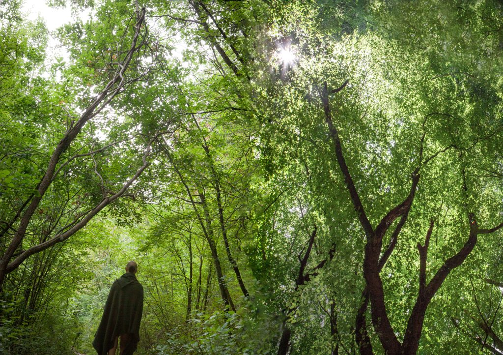 Gaia, la nuova umanit&agrave;