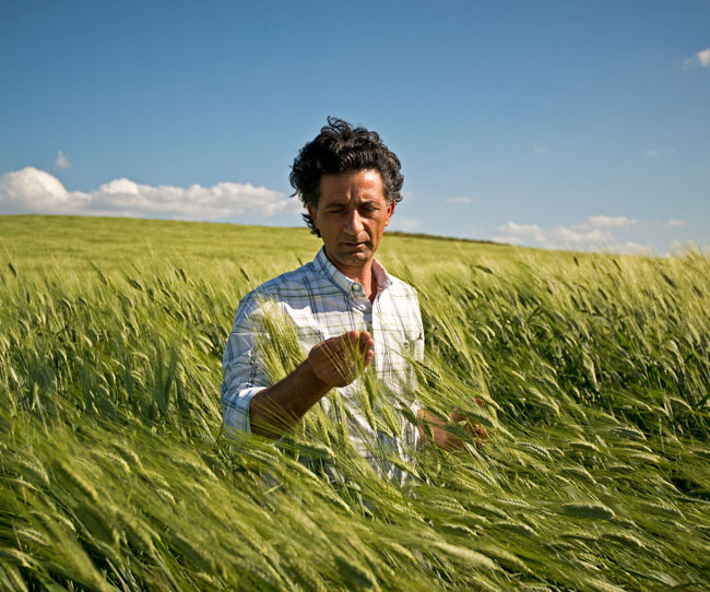 Giuseppe Li Rosi: &laquo;In Sicilia il 25% della biodiversit&agrave; europea&raquo;