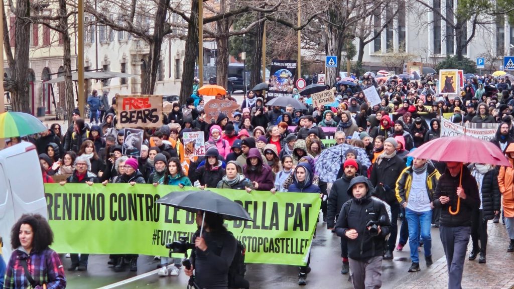 Gli attivisti di StopCasteller: &laquo;Convivere con gli orsi &egrave; possibile, basta con le uccisioni&raquo;