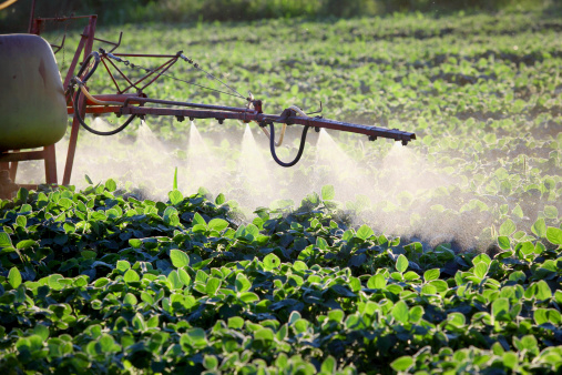 Glifosato, la &ldquo;sicurezza&rdquo; dell&rsquo;erbicida &egrave; stata valutata ignorando il 90% degli studi