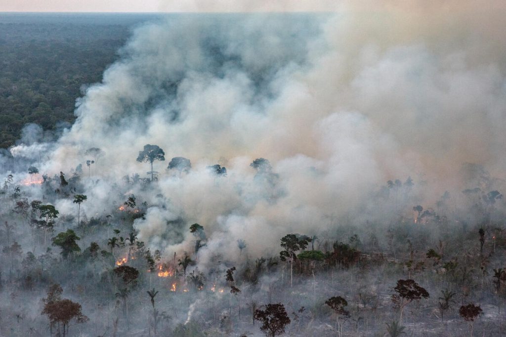Greenpeace: &laquo;Ancora troppi incendi in Amazzonia&raquo;