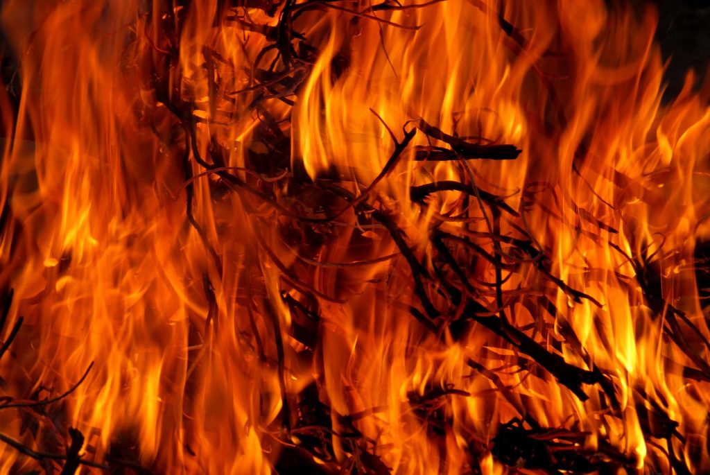Greenpeace: &laquo;Disponibile la piattaforma per mappare gli incendi&raquo;