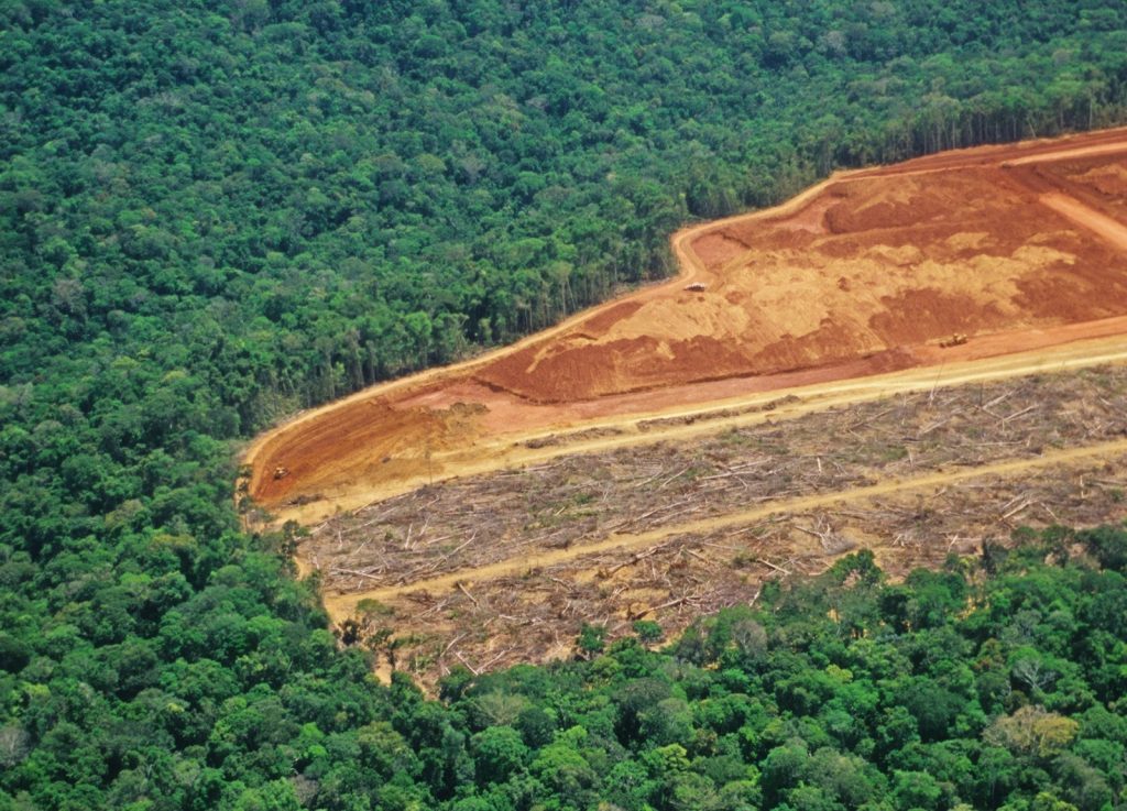 Greenpeace: &laquo;La UE corresponsabile della devastazione dell’Amazzonia&raquo;
