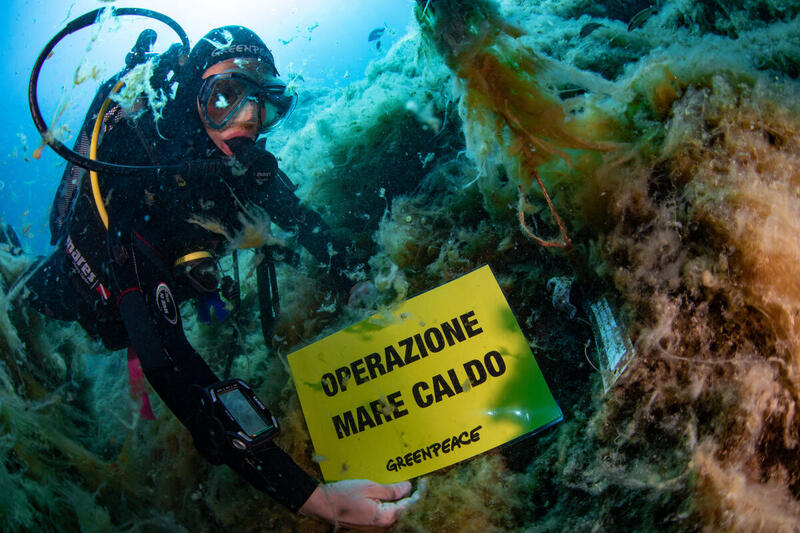 Greenpeace: &laquo;Nei nostri mari sempre pi&ugrave; elevato l’impatto dei cambiamenti climatici&raquo;