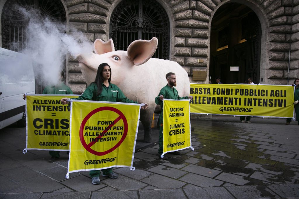 Greenpeace: &laquo;Ritirate la Pac, tutela solo l’agrobusiness&raquo;