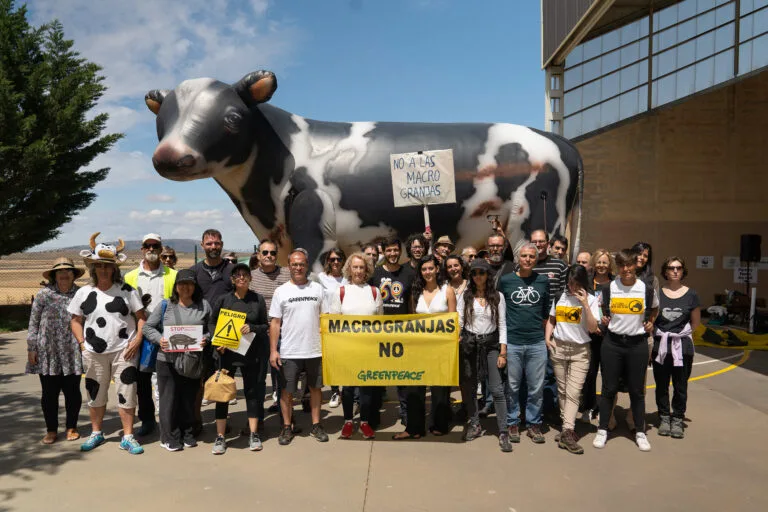 Greenpeace: &laquo;Vittoria contro maxi allevamento in Spagna&raquo;