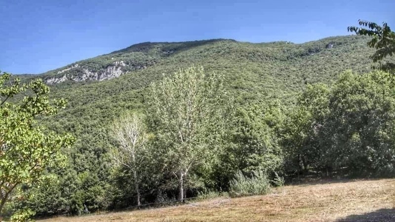 I cittadini di Subiaco: &laquo;Salviamo il bosco di Lucinetta&raquo;