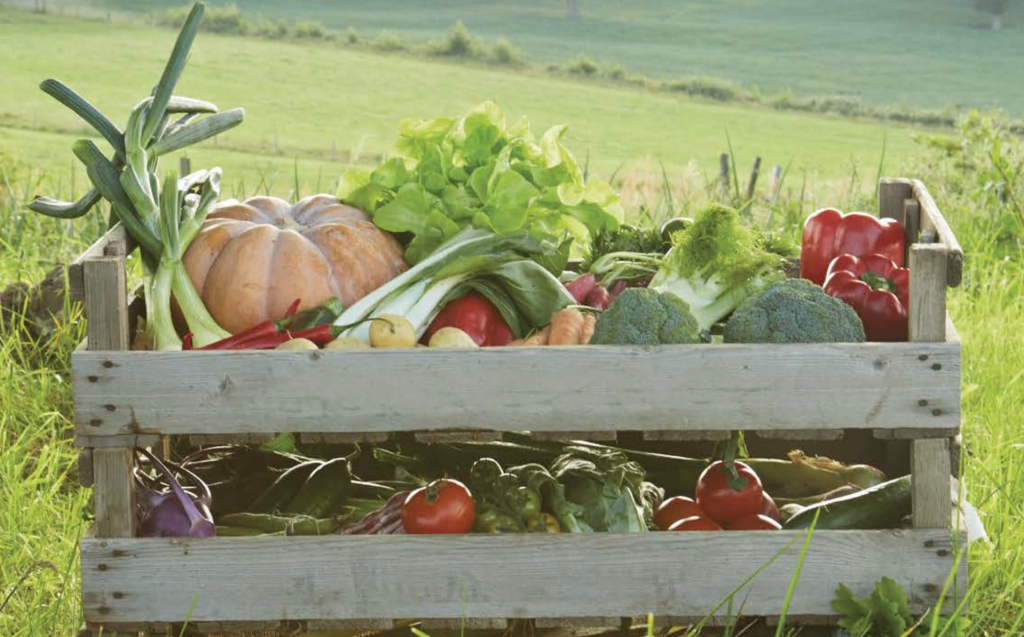 I nove preparati dell&rsquo;agricoltura biodinamica