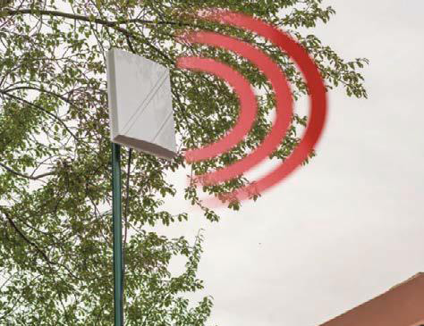 Il 5G &egrave; nemico degli alberi?