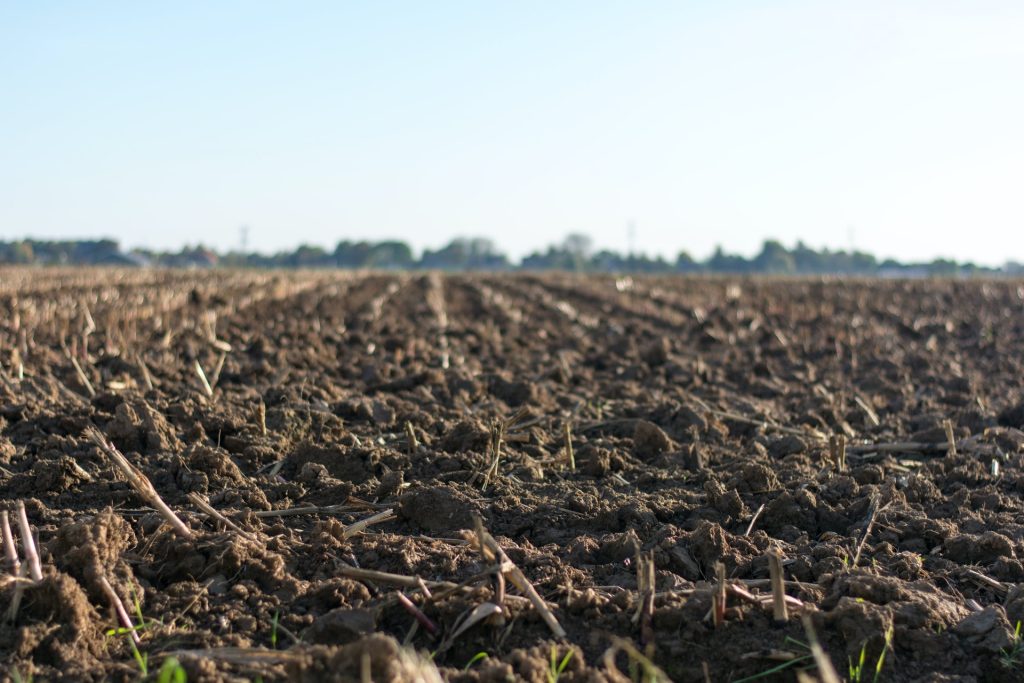 Il Movimento Salva il Suolo: &laquo;Un terreno sano riduce il rischio di crisi delle colture&raquo;