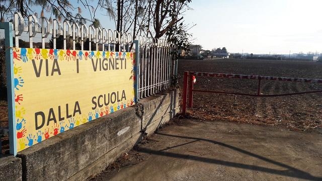 Il Tar conferma: &laquo;Vigneto abusivo vicino all’asilo va espiantato&raquo;