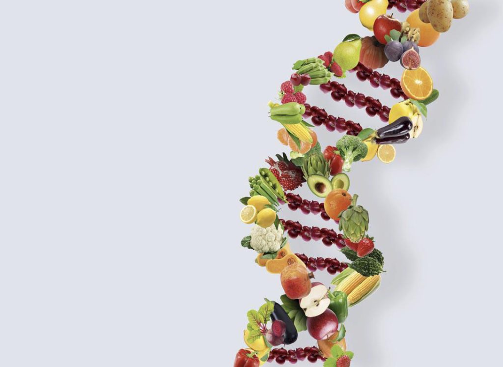 Il cibo &laquo;PARLA&raquo; al Dna