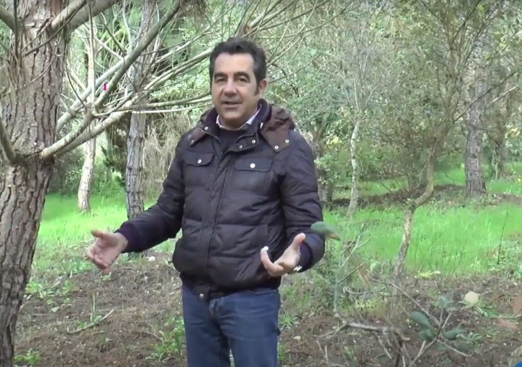 Il dentista che pianta 1400 alberi: &laquo;Vivo e lavoro rispettando l’ambiente&raquo;