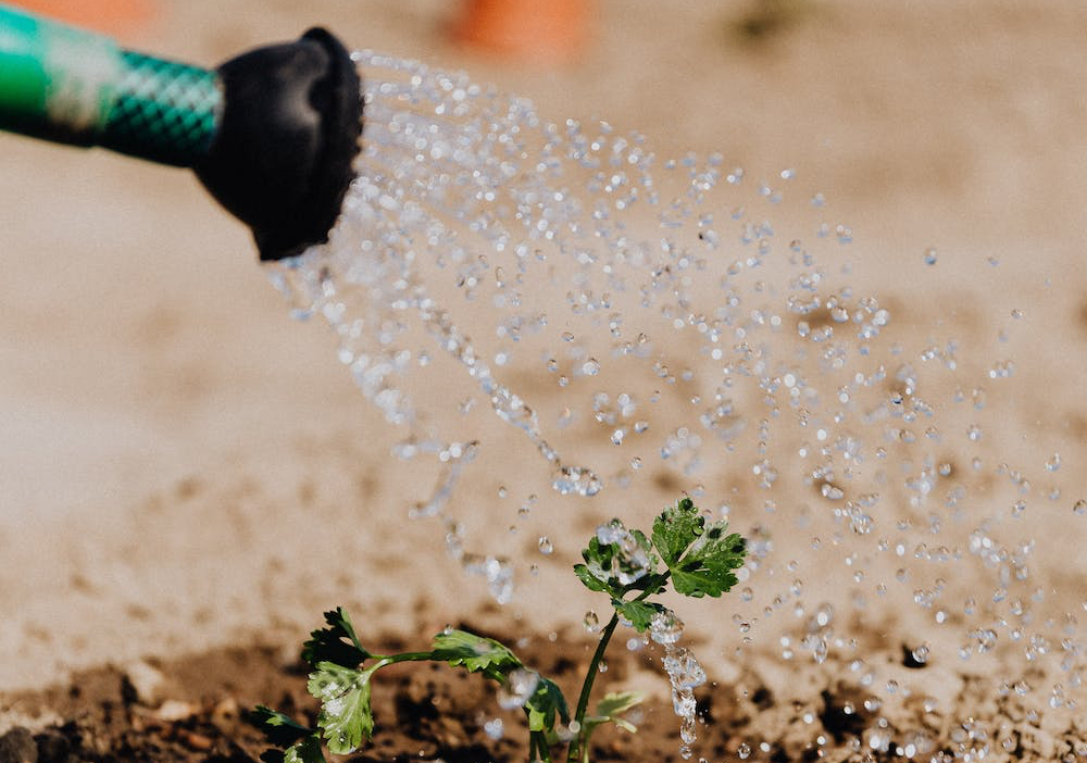 Irrigazioni: diventiamo pi&ugrave; efficienti!