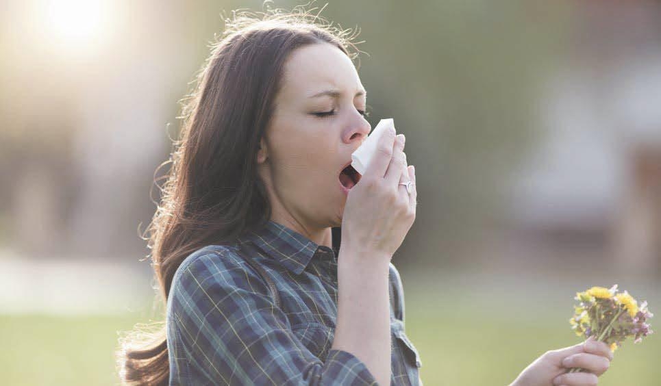 L&rsquo;approccio macrobiotico alle allergie