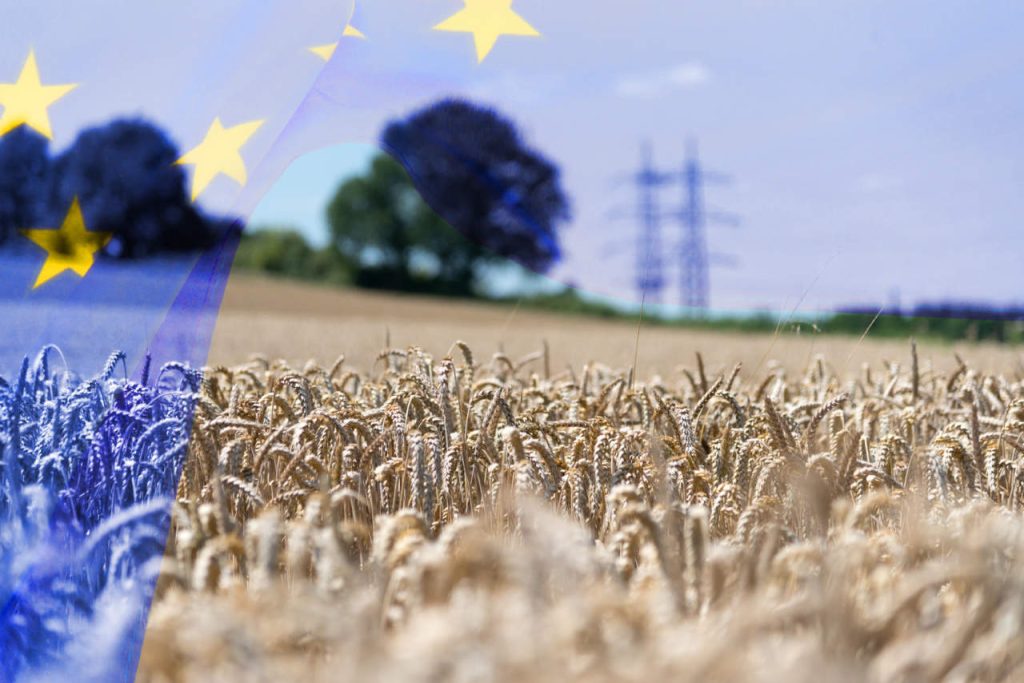 L’associazione Terra!: &laquo;L’accordo europeo sulla PAC aggraver&agrave; la crisi climatica&raquo;