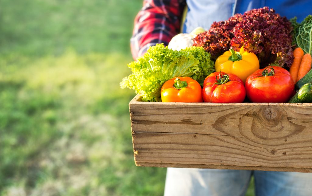 L&rsquo;essenziale del cibo