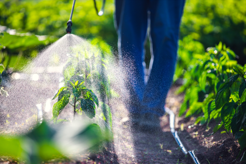 La Campagna “Cambia la terra”: &laquo;Non cala la vendita di pesticidi in Europa&raquo;
