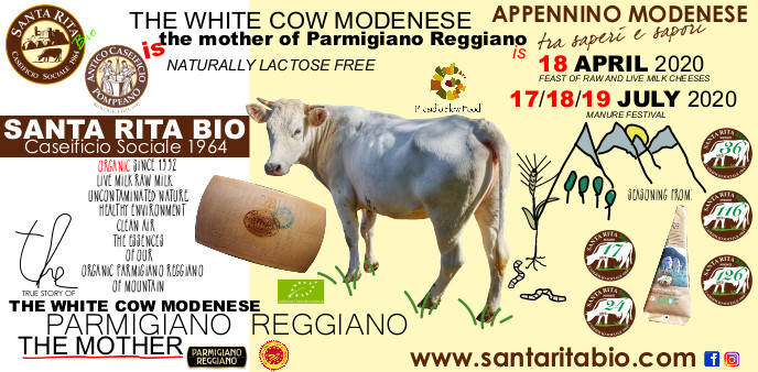 La &ldquo;Mamma&rdquo; del Parmigiano Reggiano