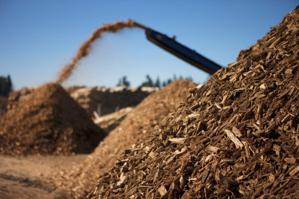 La denuncia degli esperti: &laquo;Bioeconomia, la strategia Ue n&eacute; green n&eacute; sostenibile&raquo;
