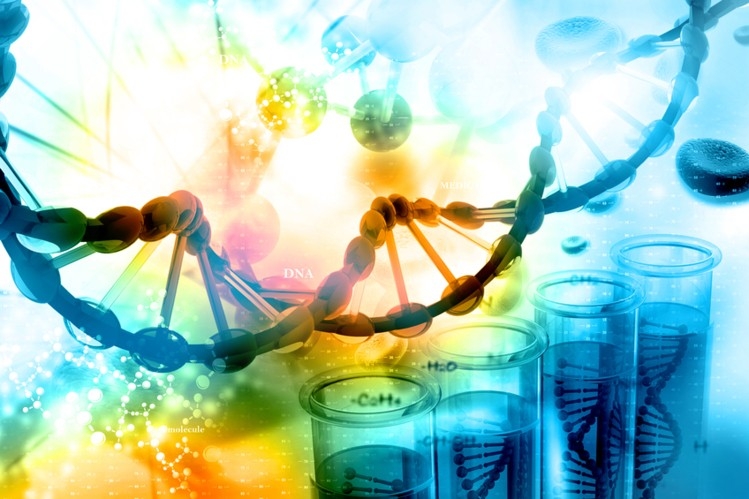 La denuncia di 25 associazioni: &laquo;No ai decreti che aprono la strada agli ogm in campo&raquo;