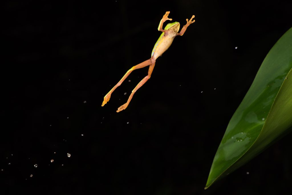 La necessit&agrave; di un salto