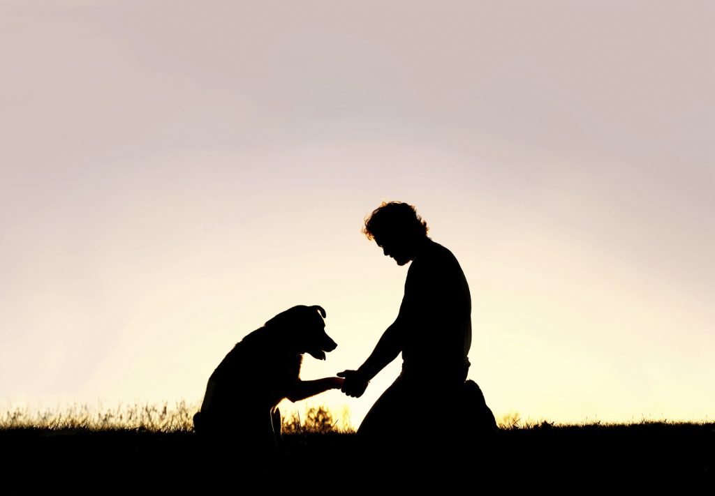 La relazione uomo-cane alla luce dell&rsquo;approccio sistemico