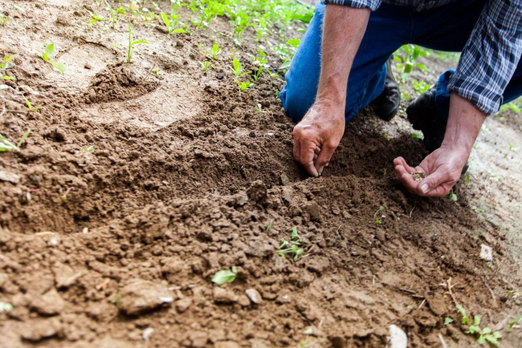 La sostenibilit&agrave; radicale dell&rsquo;agroecologia