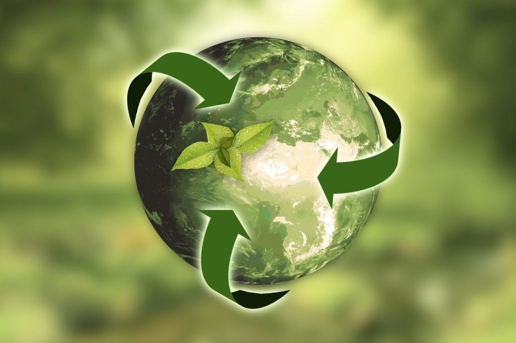 La strategia europea di bioeconomia: impatti e scenari, opportunit&agrave; e rischi