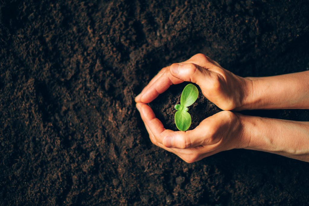 La tutela del suolo passa da un&rsquo;agricoltura pulita