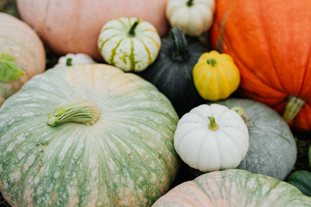 La zucca: tipologie, propriet&agrave; e utilizzi in cucina