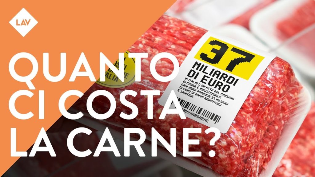 Lav: &laquo;Carne, i costi ambientali e sanitari creano un danno di 37 miliardi l’anno&raquo;